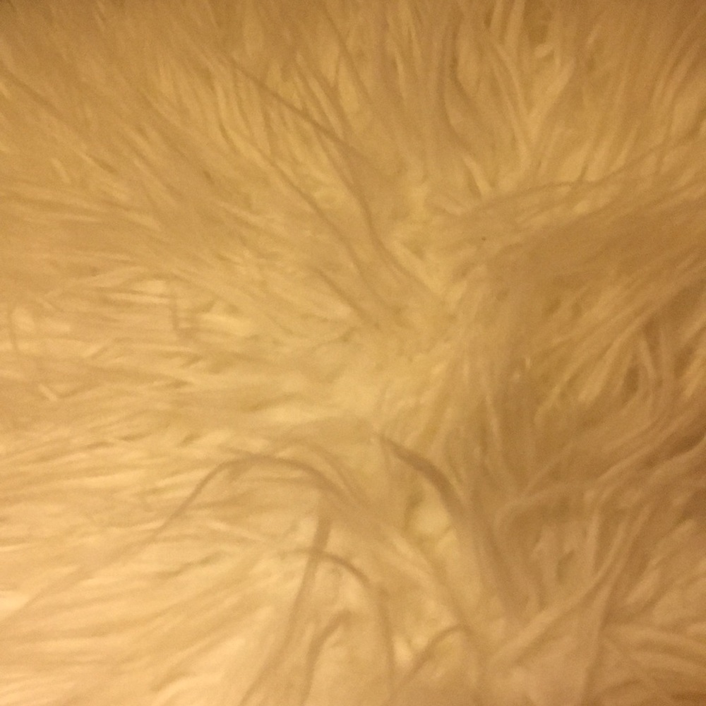 Meet your Posher, Savannah